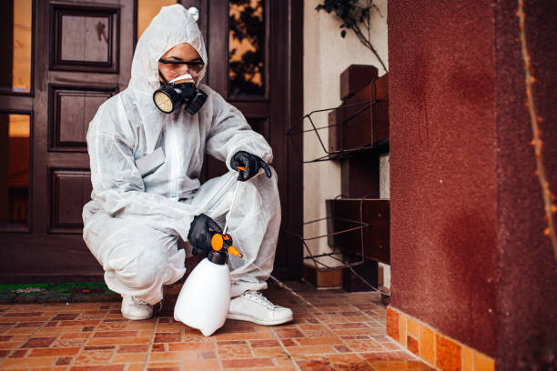 Reliable Ant Control contractor in Sharon, MS by Show Me Pest Control